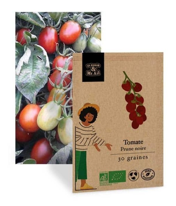 Tomate Prune Noire -...