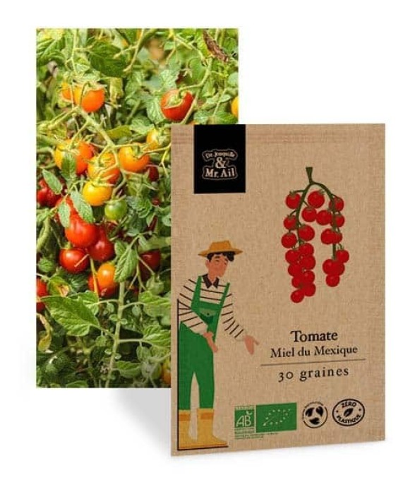 Tomate cerise Miel du...