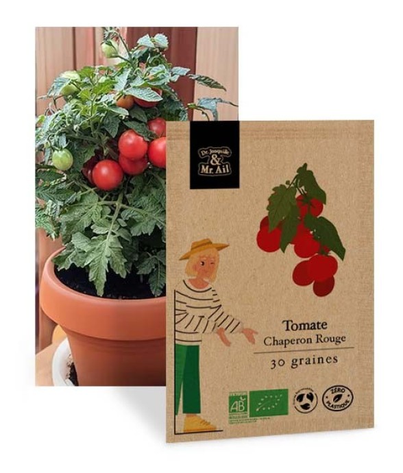 Tomate Chaperon Rouge -...