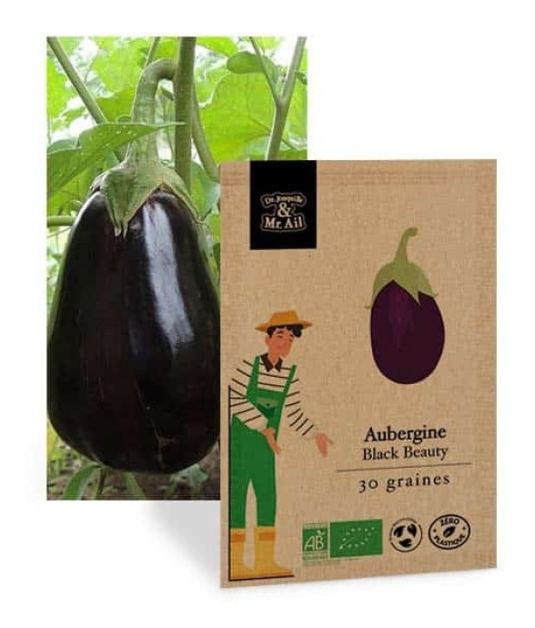 Aubergine black beauty -...