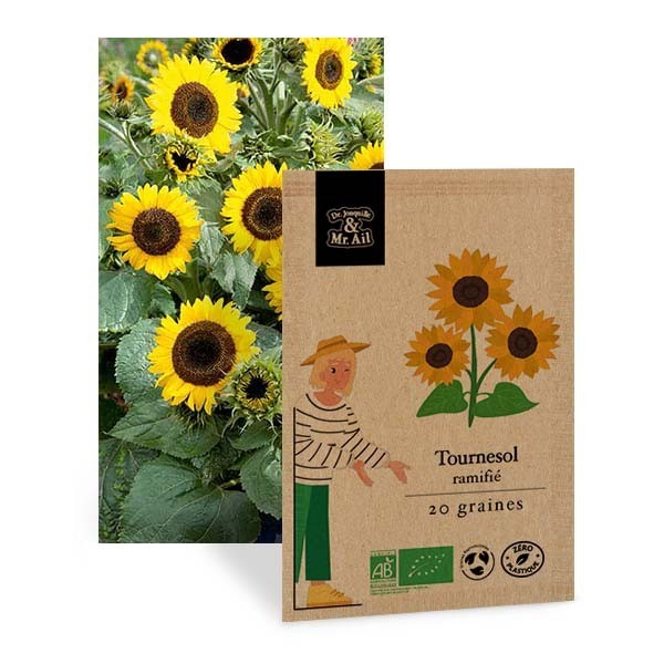 Sélection - Les Fleurs Insolites