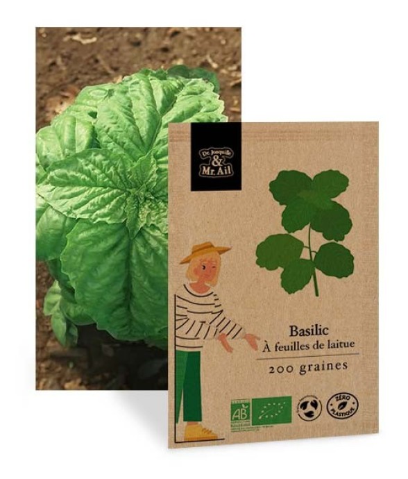 Basilic à Feuilles de...