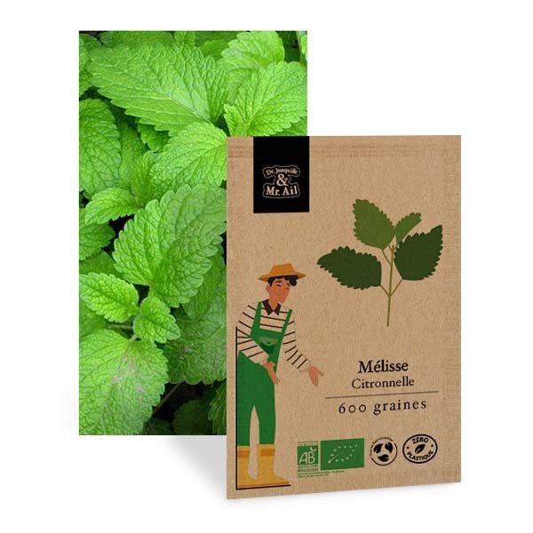 Mélisse Citronnelle - Graines bio