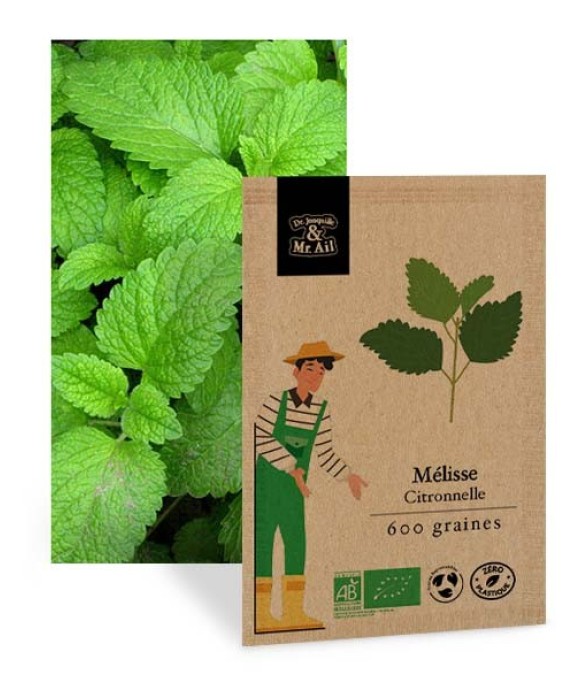Mélisse Citronnelle -...