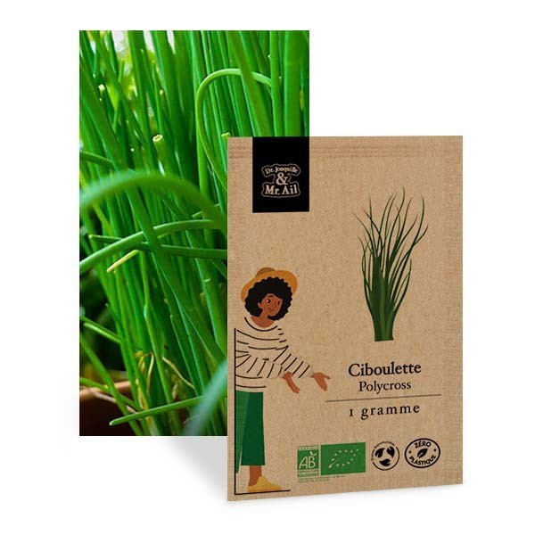 Ciboulette Polycross - Graines bio
