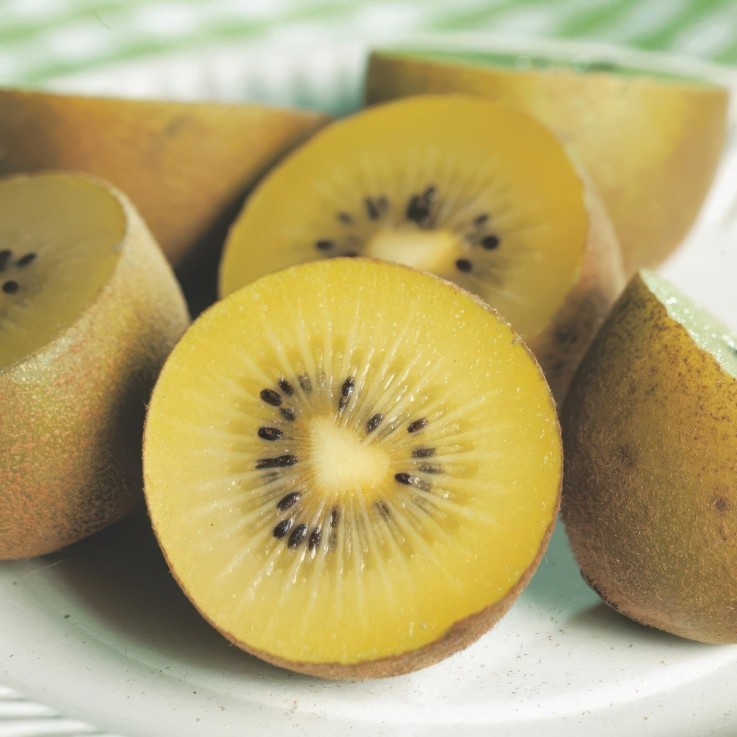 Kiwi doré Actinidia deliciosa x2