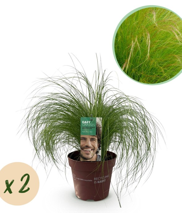 Cheveux d'ange Pony Tails