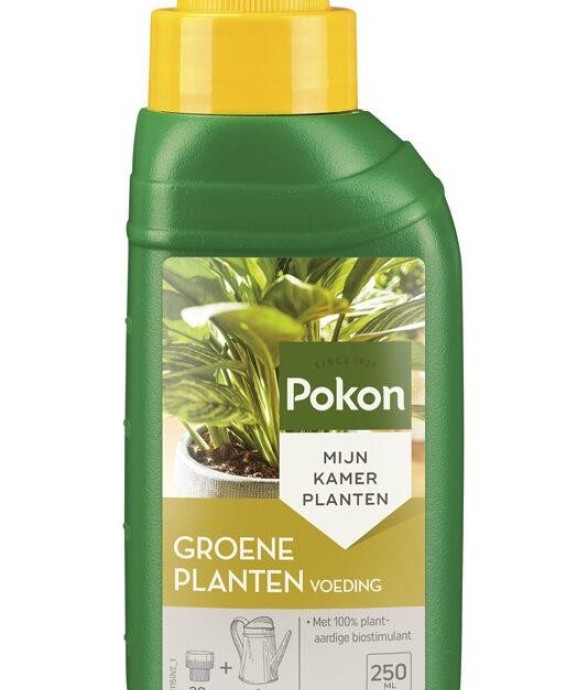 Engrais pour plantes vertes...