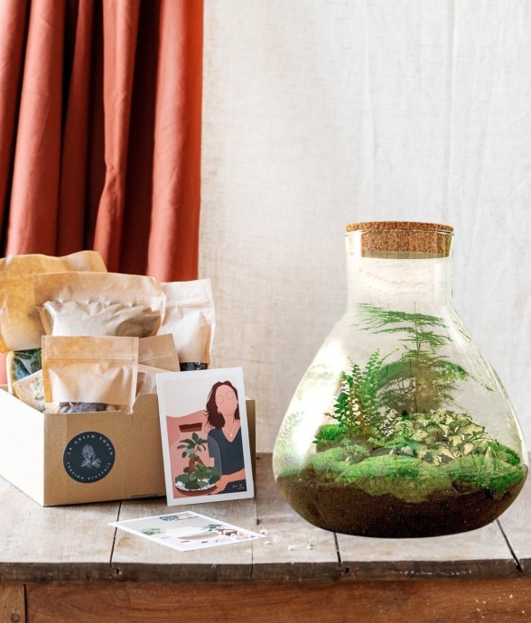 Kit Terrarium DIY - SAMOS -...