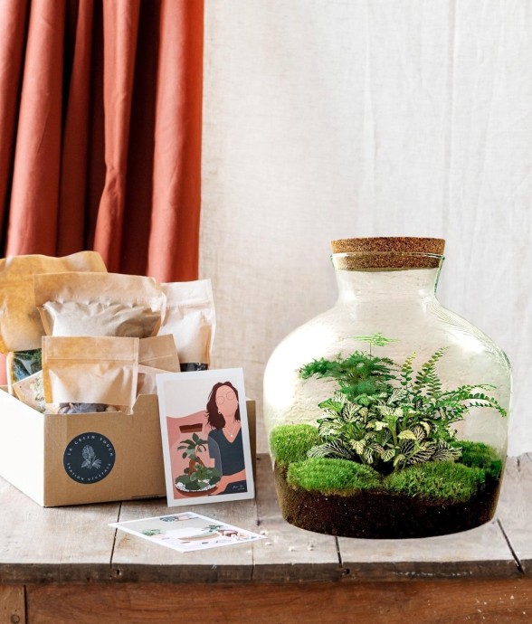Kit Terrarium DIY - JOY -...