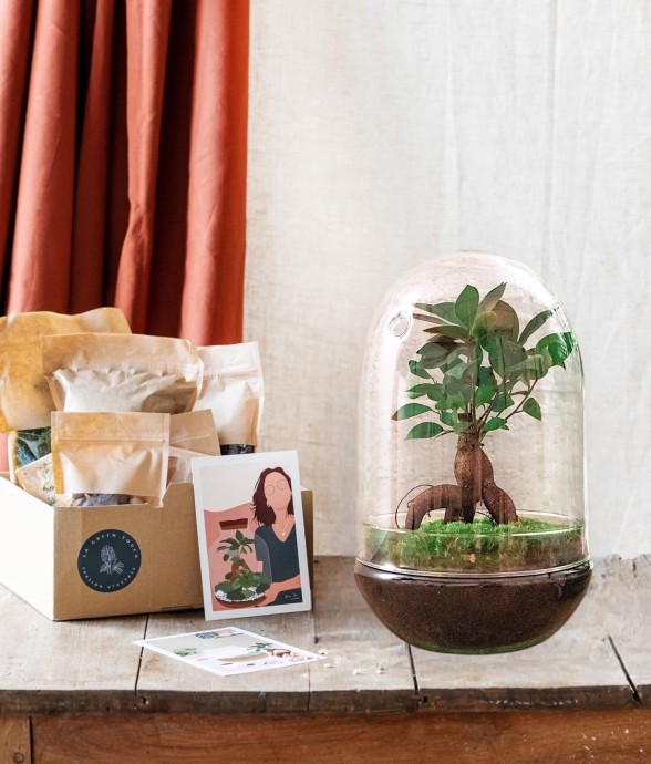 Kit Terrarium DIY - PARIS -...