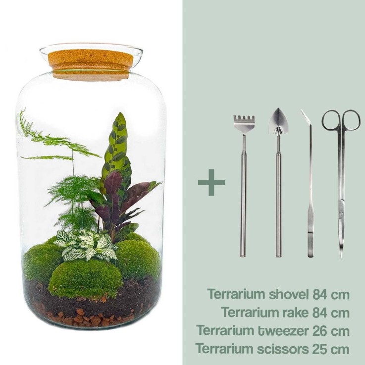 Kit Terrarium DIY - SALEN -  Rateau + Pelle + Pince + Ciseaux