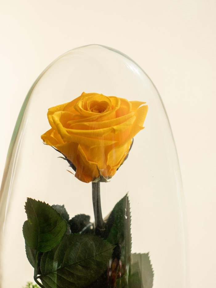 Terrarium Rose éternelle -  Jaune