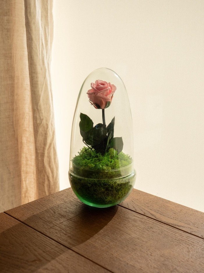 Terrarium Rose éternelle -  Rose