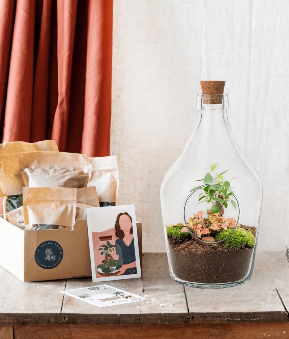 Kit Terrarium DIY - JOYT -...