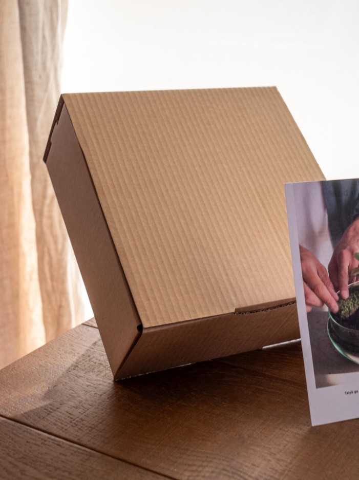 Kit Terrarium DIY - CORTICA