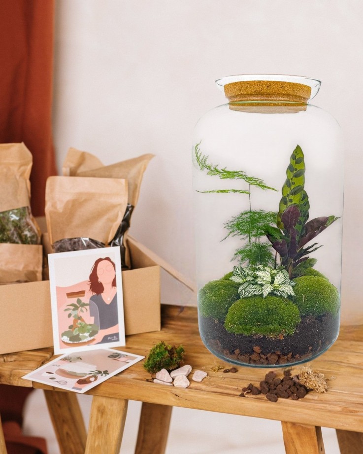 Kit Terrarium DIY - SALEN -  Rateau + Pelle