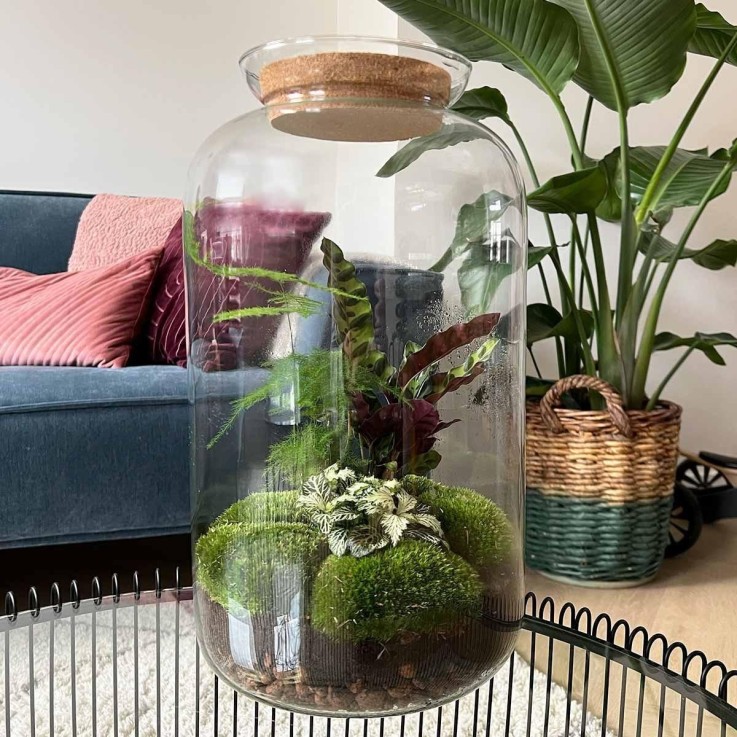 Kit Terrarium DIY - SALEN -  Rateau + Pelle