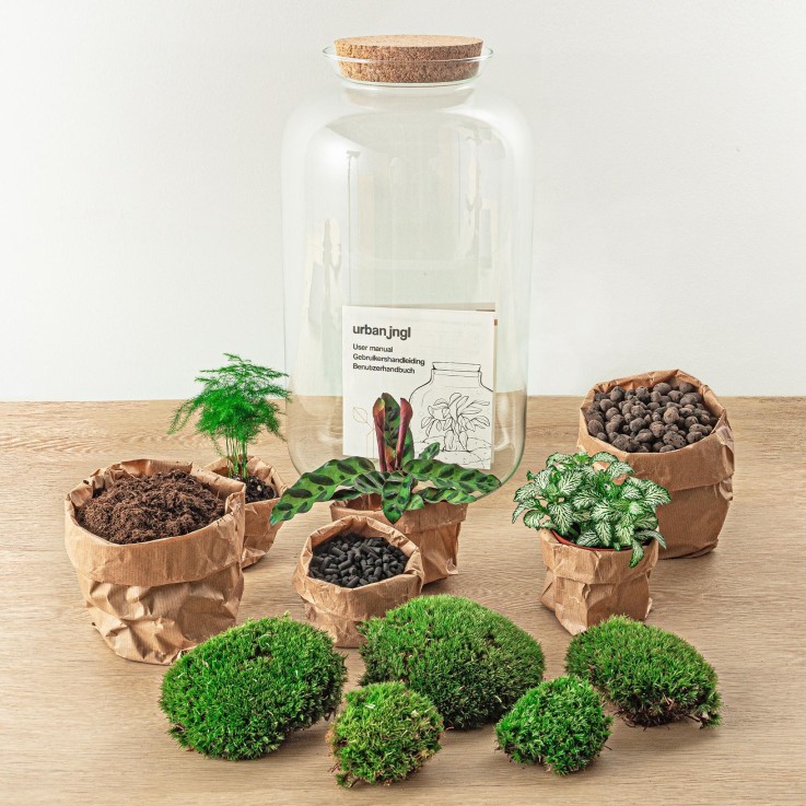 Kit Terrarium DIY - SALEN -  Rateau + Pelle