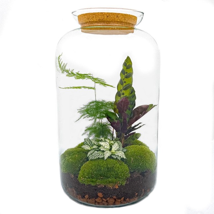 Kit Terrarium DIY - SALEN -  Rateau + Pelle