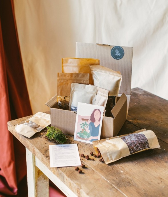 Kit rempotage plantes pour...