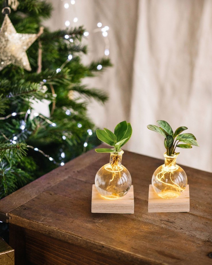 Duo SAMOA- Hydroculture