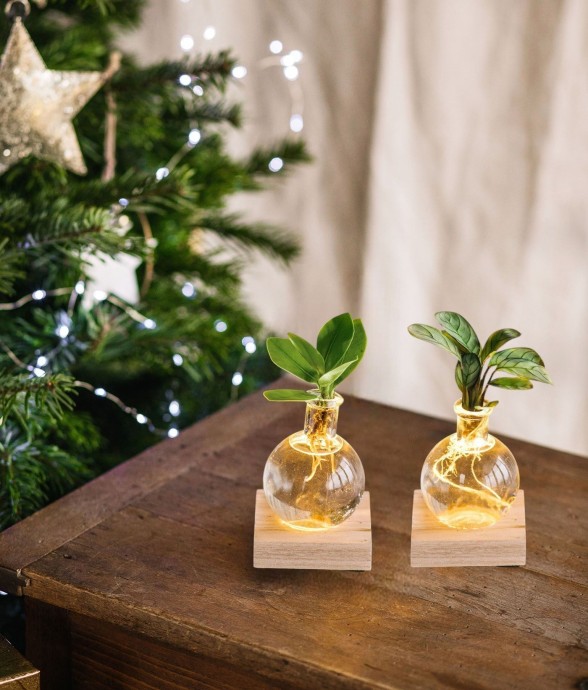 Duo SAMOA- Hydroculture