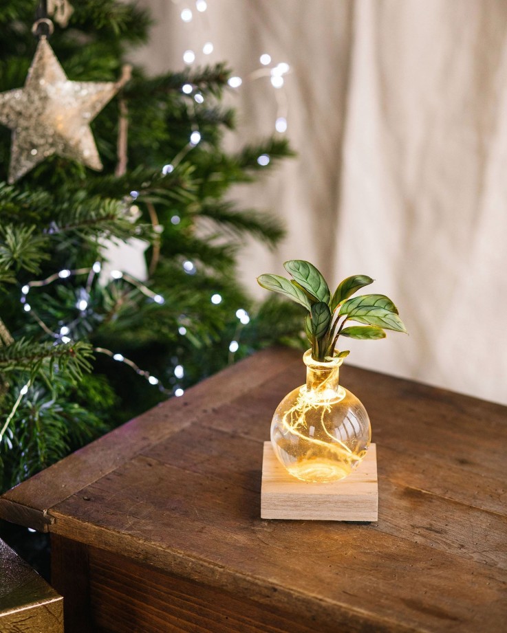 Duo SAMOA- Hydroculture