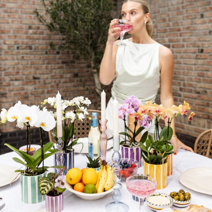 Orchidée phalaenopsis violette 'Vienna' + pot rayé lilas