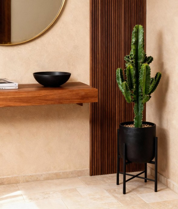 Euphorbe Eritrea -  1