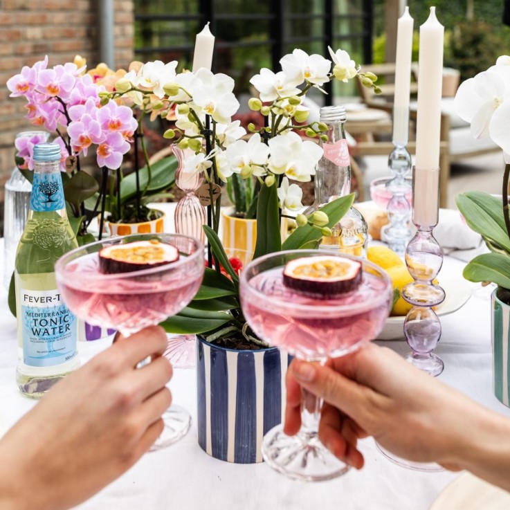 Mix de Plantes Vertes avec Pots Decoratifs