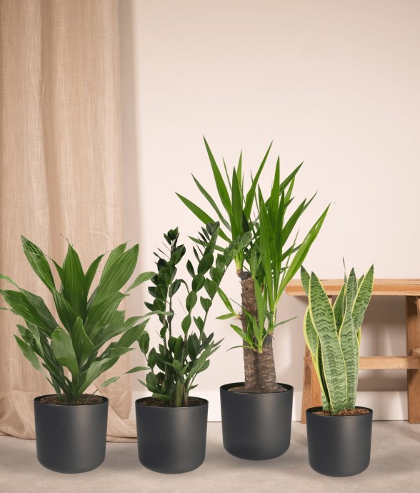 Box facile d'entretien x4 -...