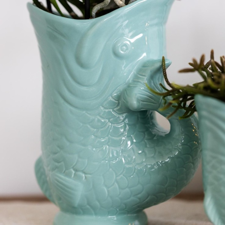 Orchidée Amabilis Blanche et Crassula Hobbit avec Pots Turquoise