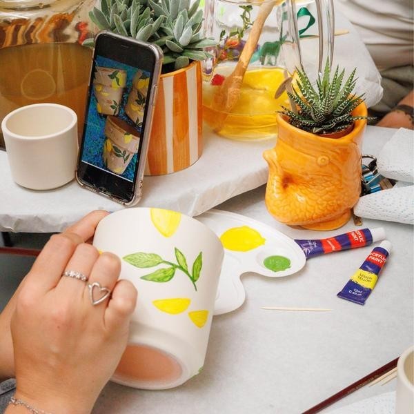 Coffret Créatif  : Orchidées & succulentes