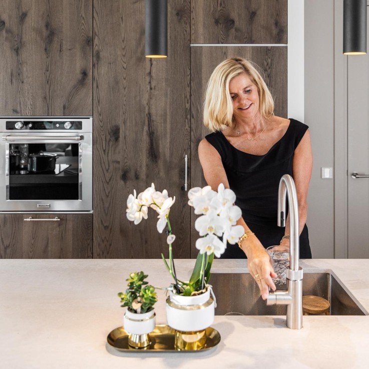 Duo Rhipsalis et leurs caches-pots doré