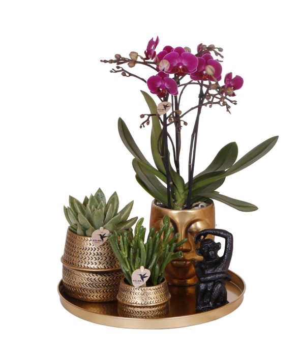 Gift set Hotel Chic |...
