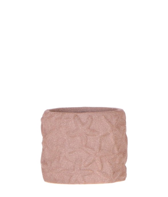 Star Fish - Pot Décoratif...