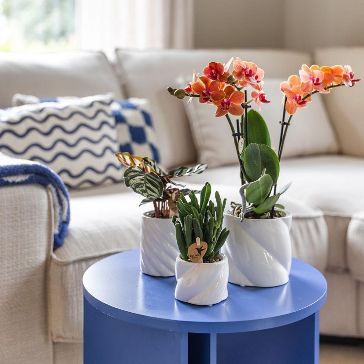 Pot décoratif Candy - Blanc