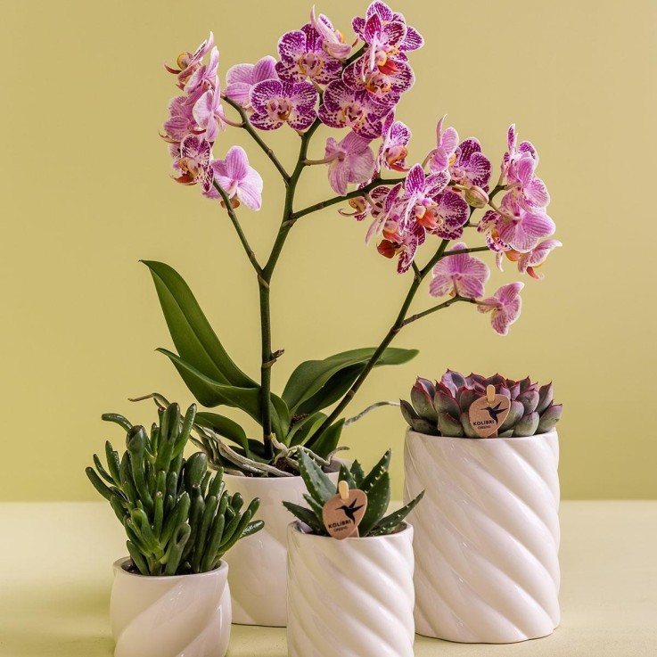 Pot décoratif Candy - Blanc