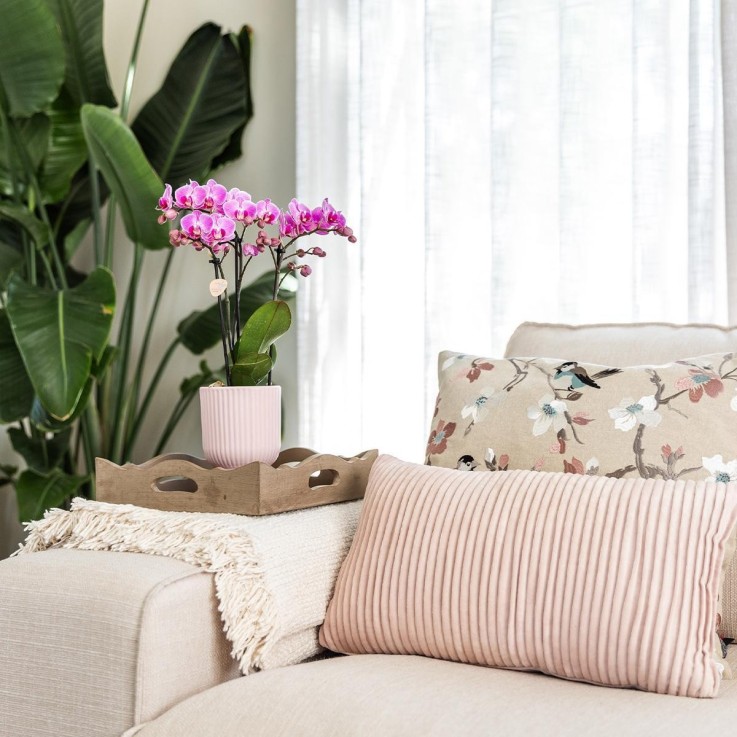 Pot décoratif Diabolo rose