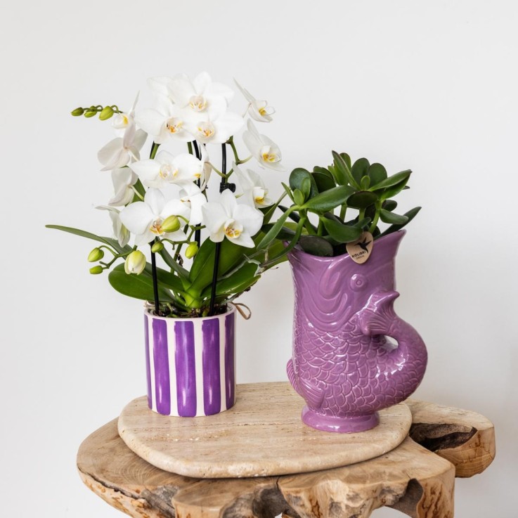 Pot décoratif Fish - Lilas