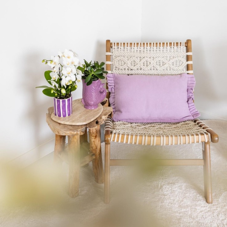 Pot décoratif Fish - Lilas