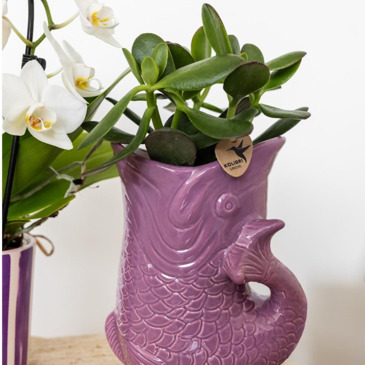 Pot décoratif Fish - Lilas