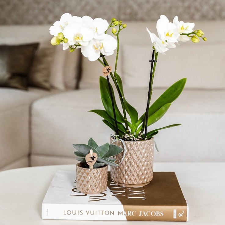 Pot Diamond Pearl - Sable