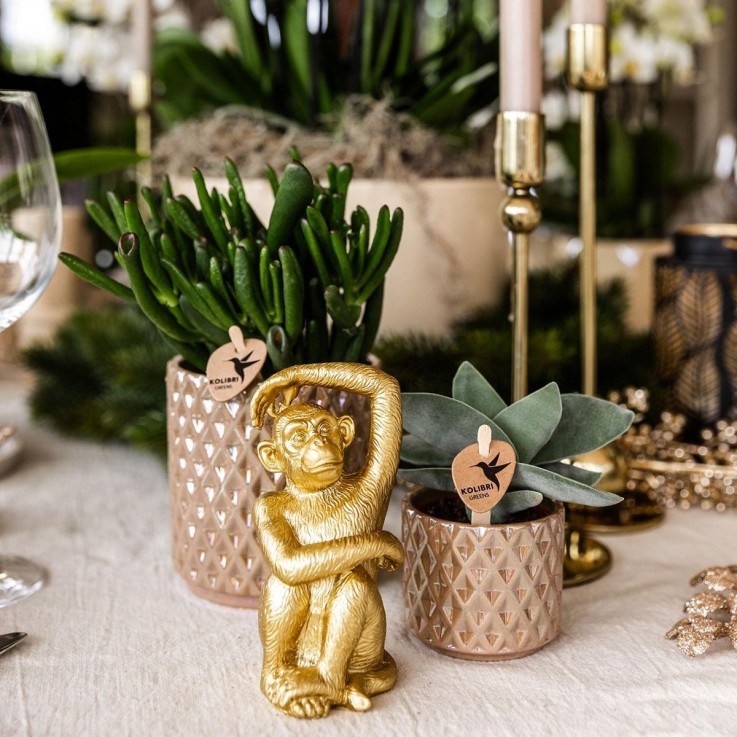 Pot Diamond Pearl - Sable