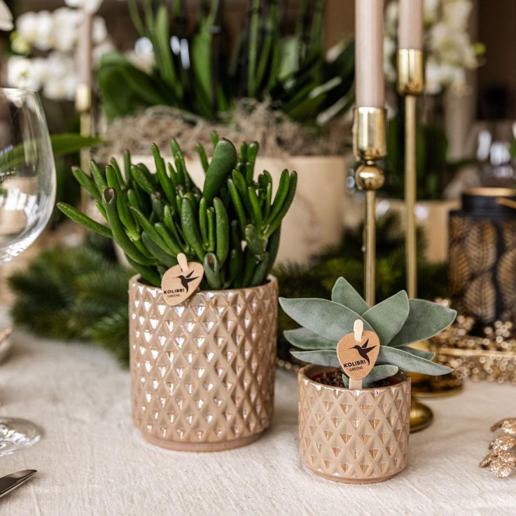 Pot Diamond Pearl - Sable