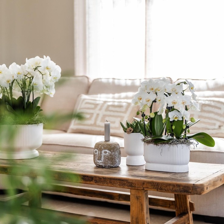 Pot décoratif Diabolo blanc