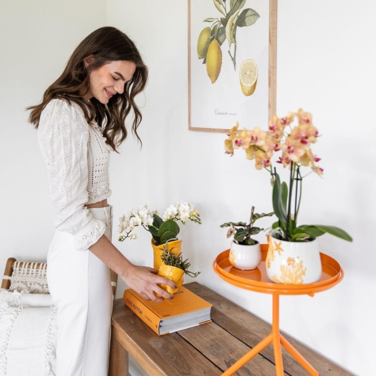 Pot Décoratif Fish Jaune - Petit Modèle