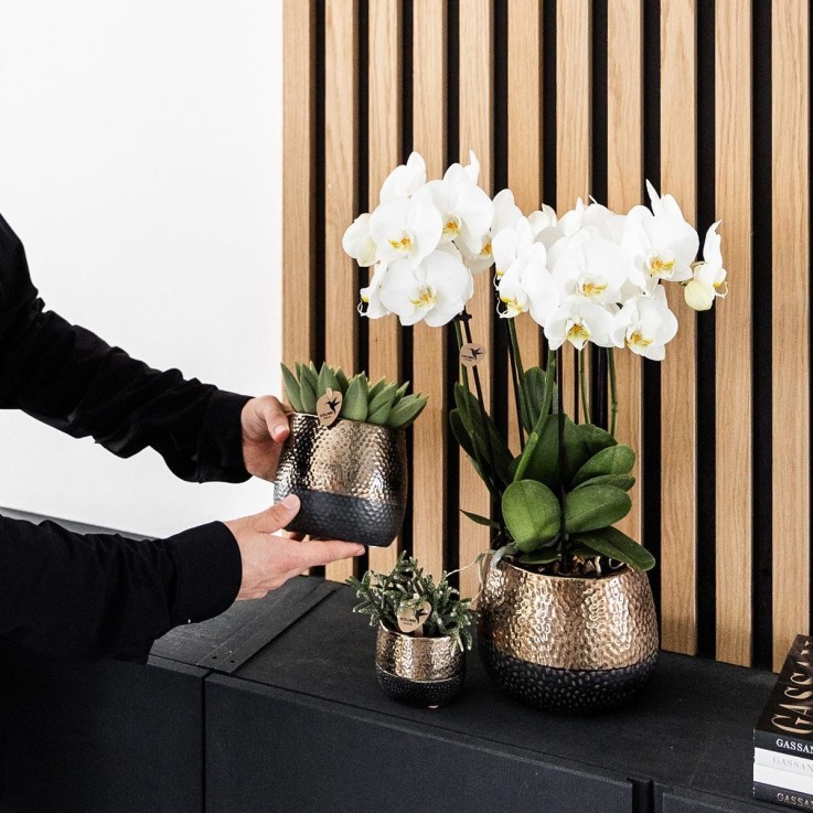 Pot Elite en cuivre brillant - céramique luxueuse