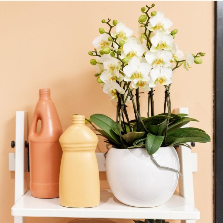 Pot décoratif en céramique blanche